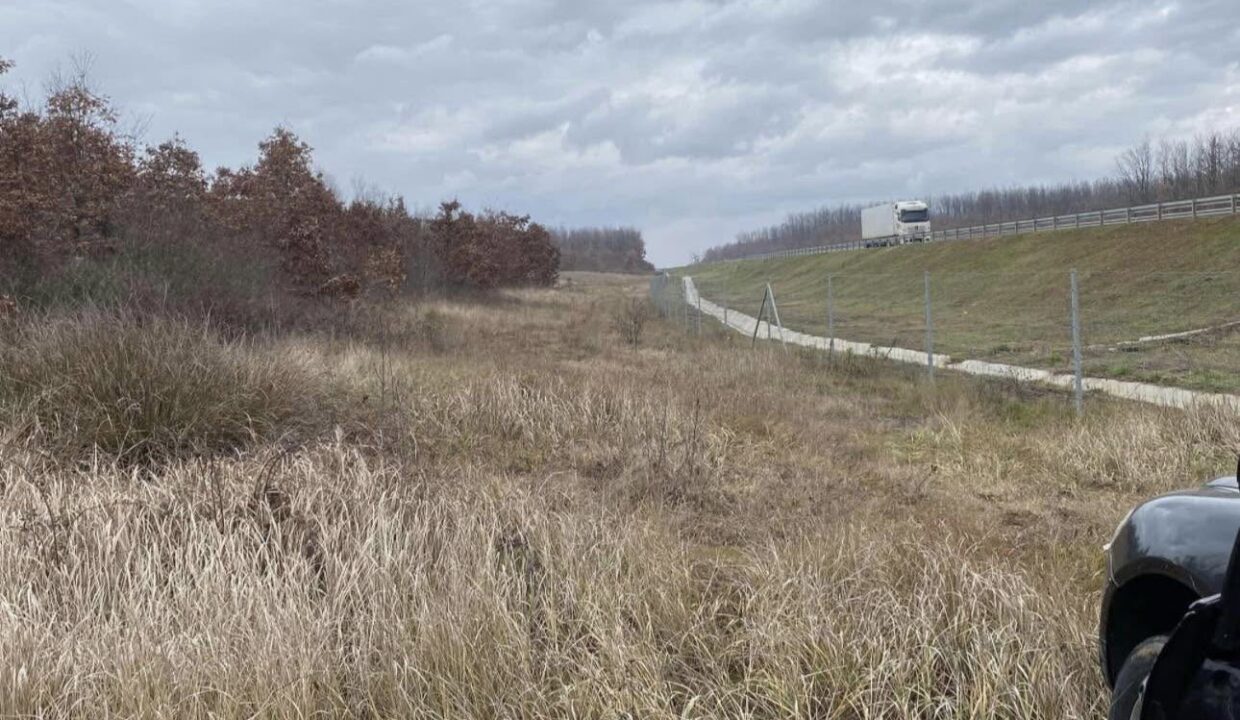 Auto Agoni parcella 2