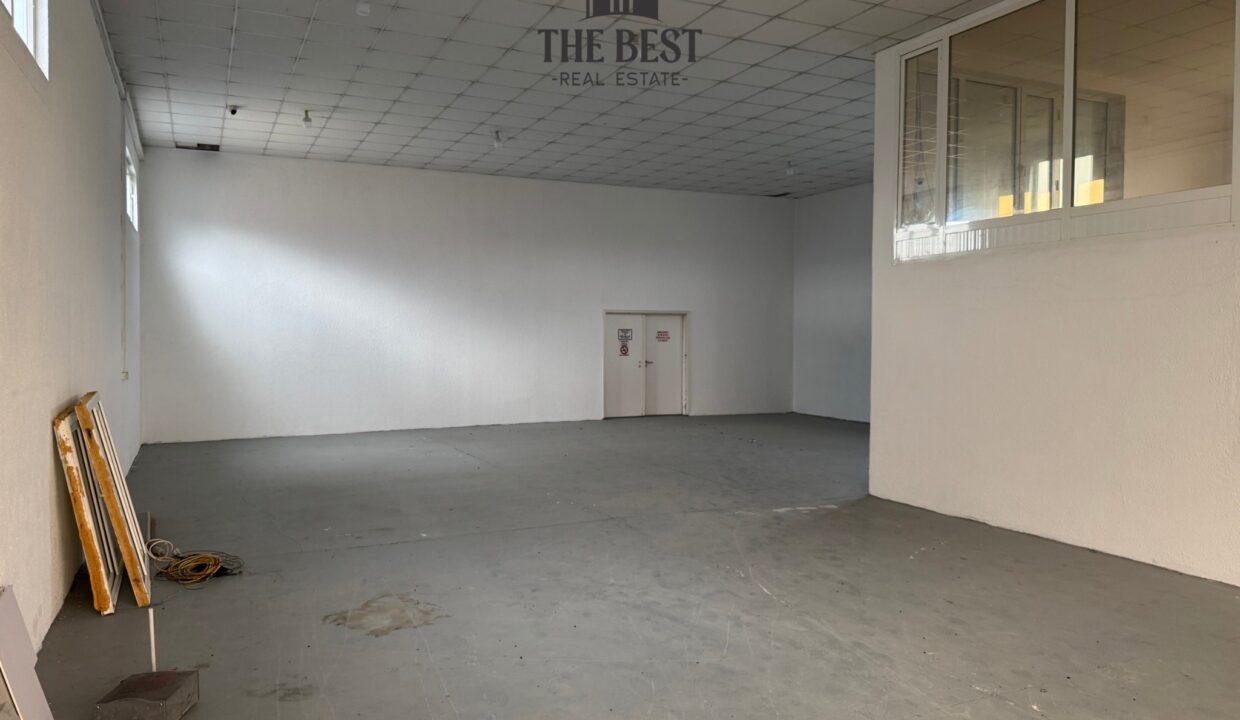 Untitled design (10)