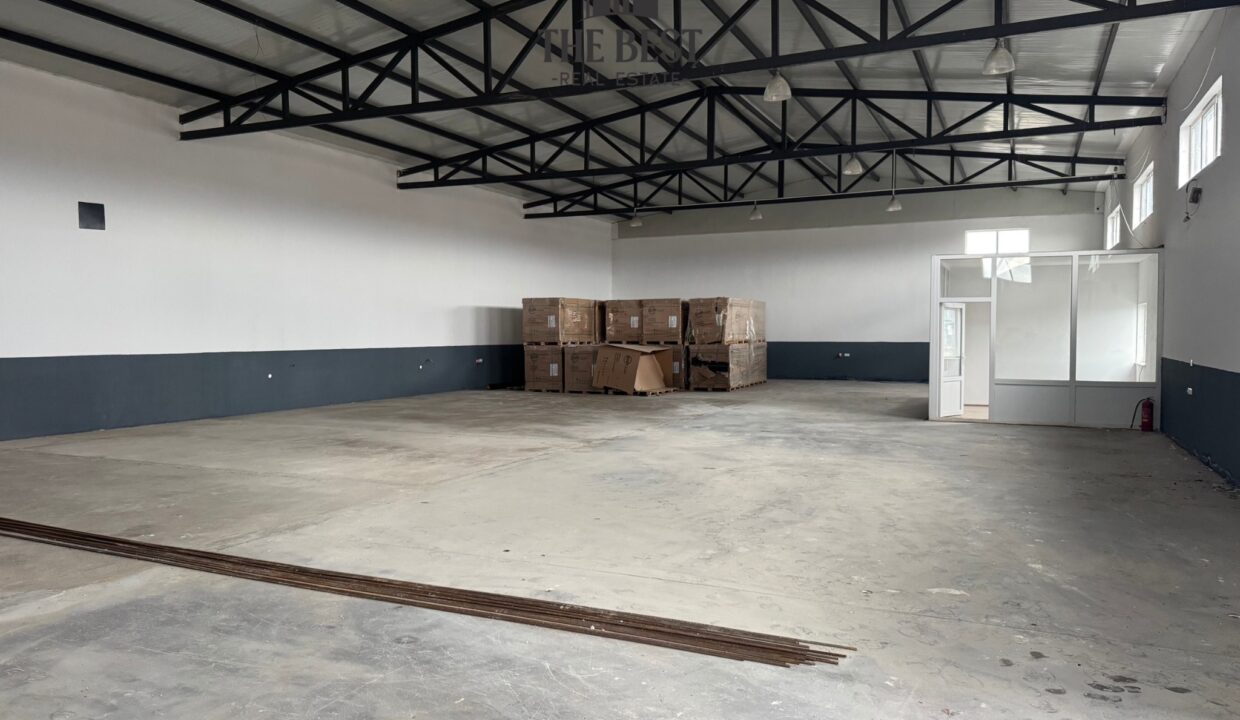 Untitled design (11)