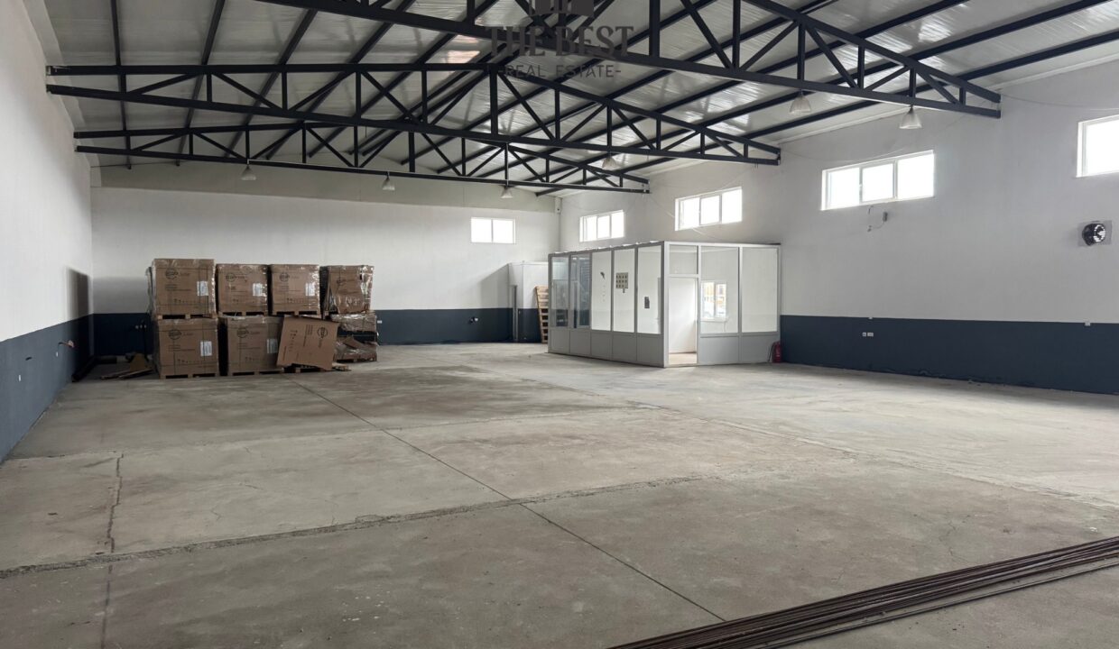 Untitled design (12)