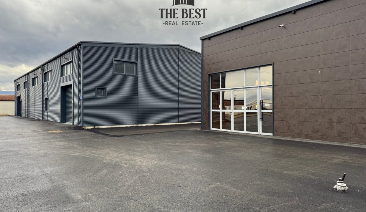 Untitled design (13)