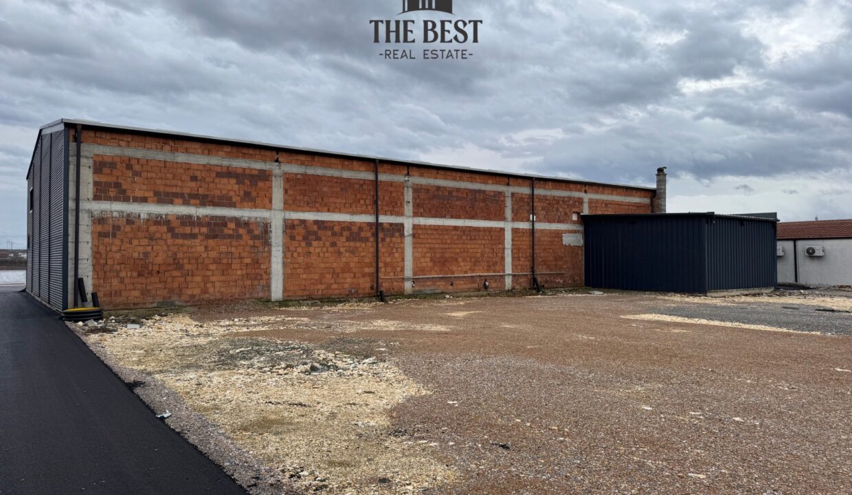 Untitled design (14)