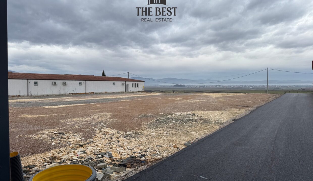 Untitled design (15)