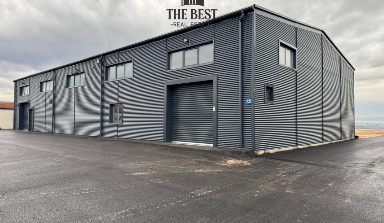 Untitled design (16)