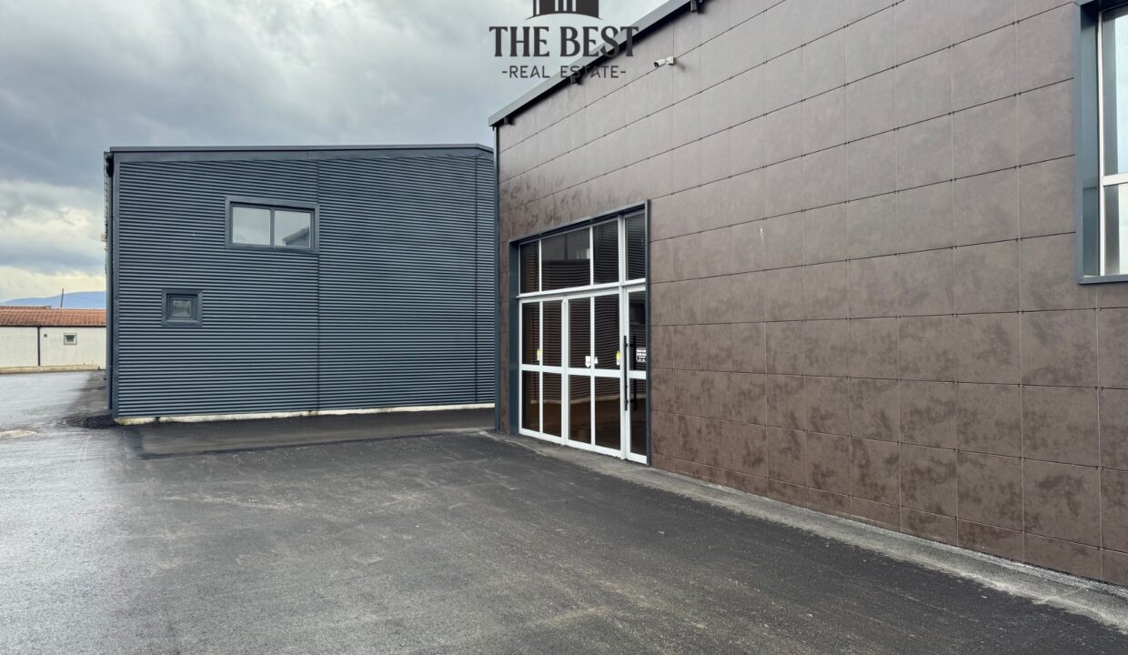 Untitled design (17)