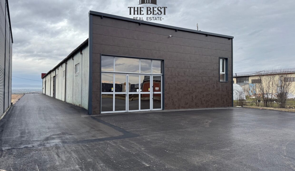 Untitled design (18)