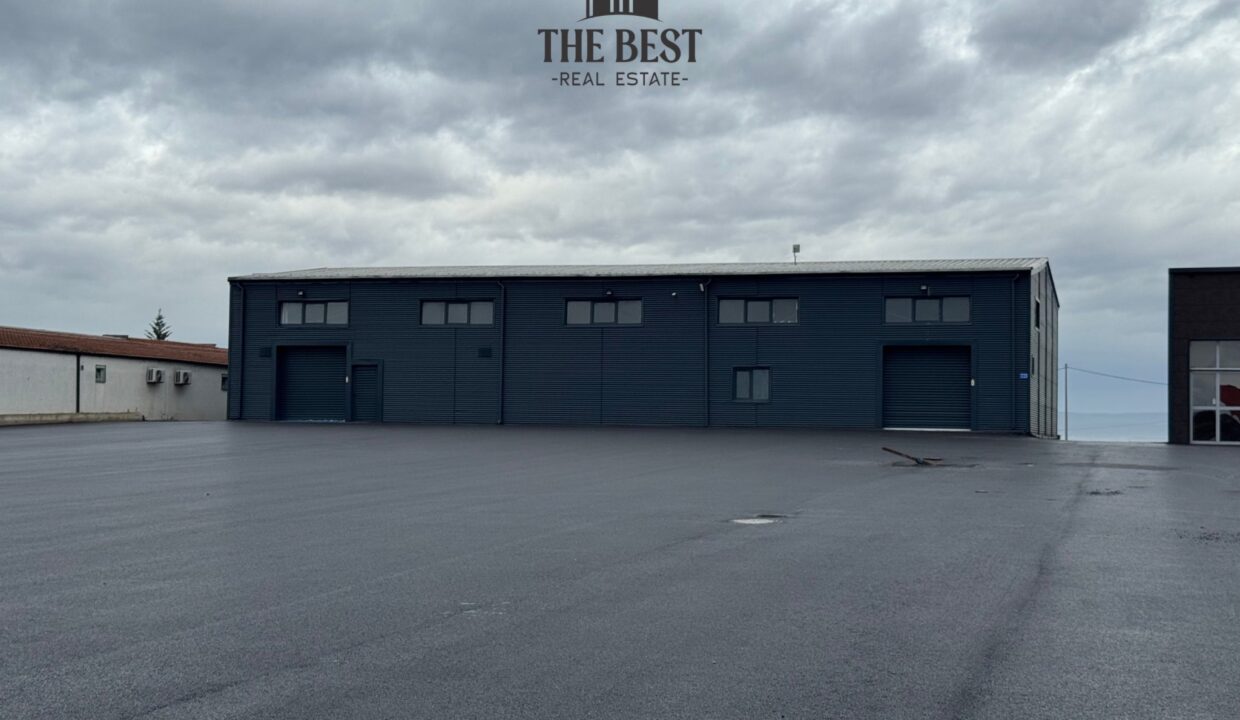 Untitled design (19)