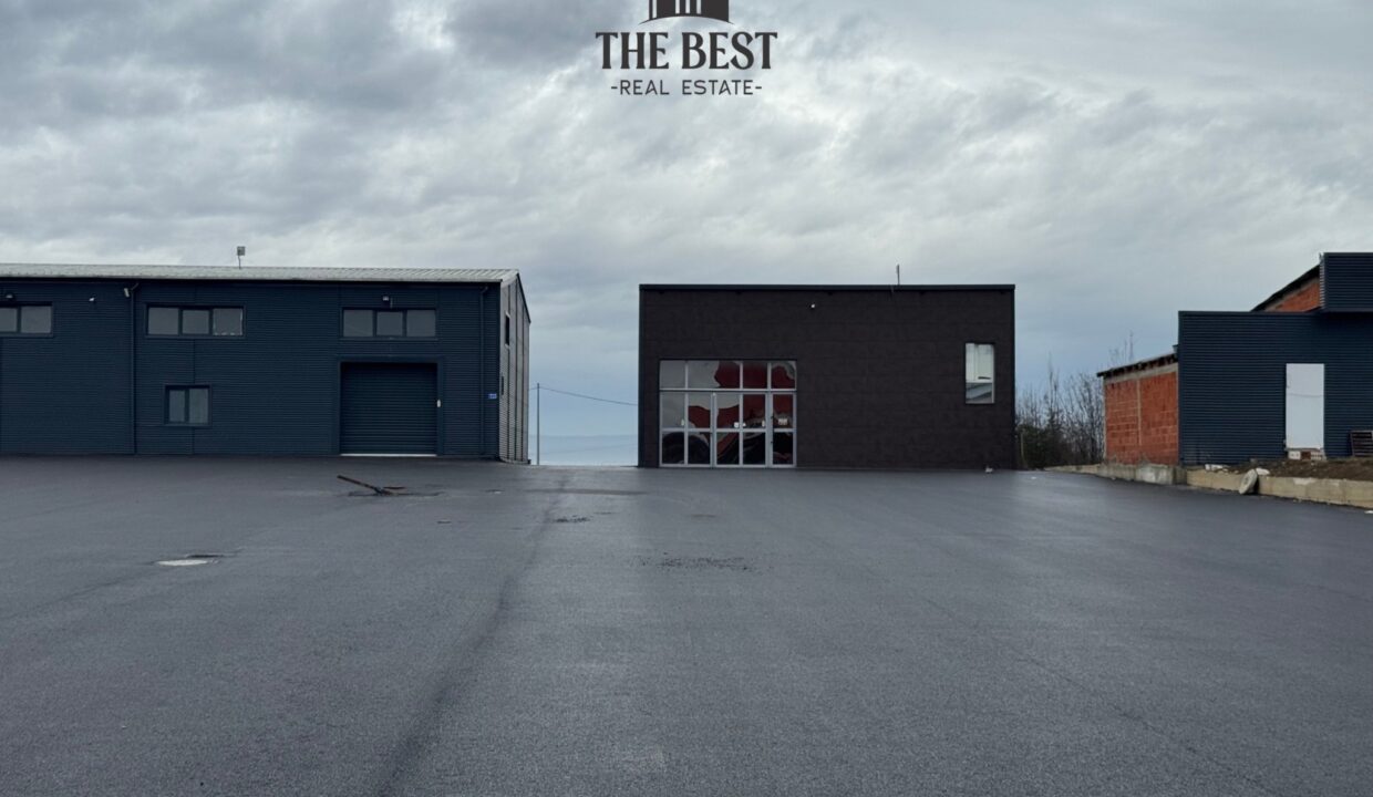 Untitled design (20)