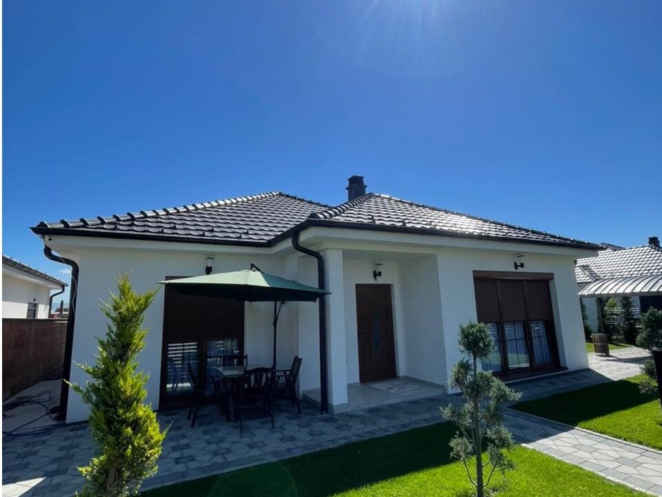 Untitled design (22)