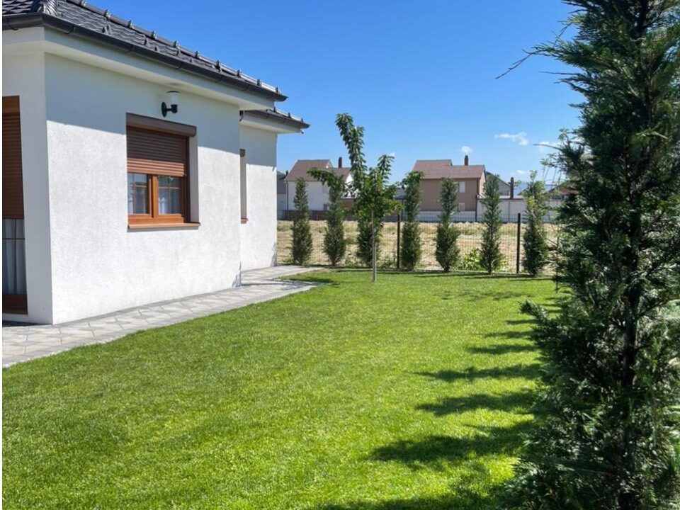 Untitled design (24)