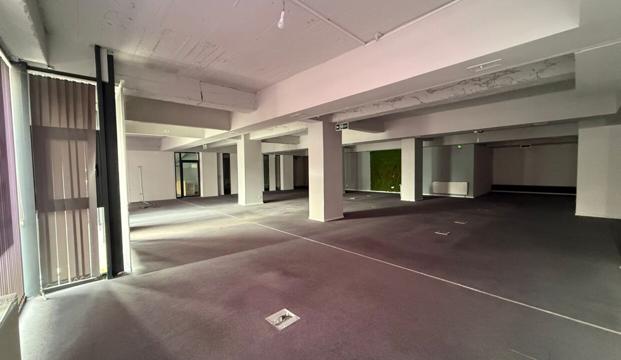 d3399072-7b26-40cf-b67e-4520e43e5be6