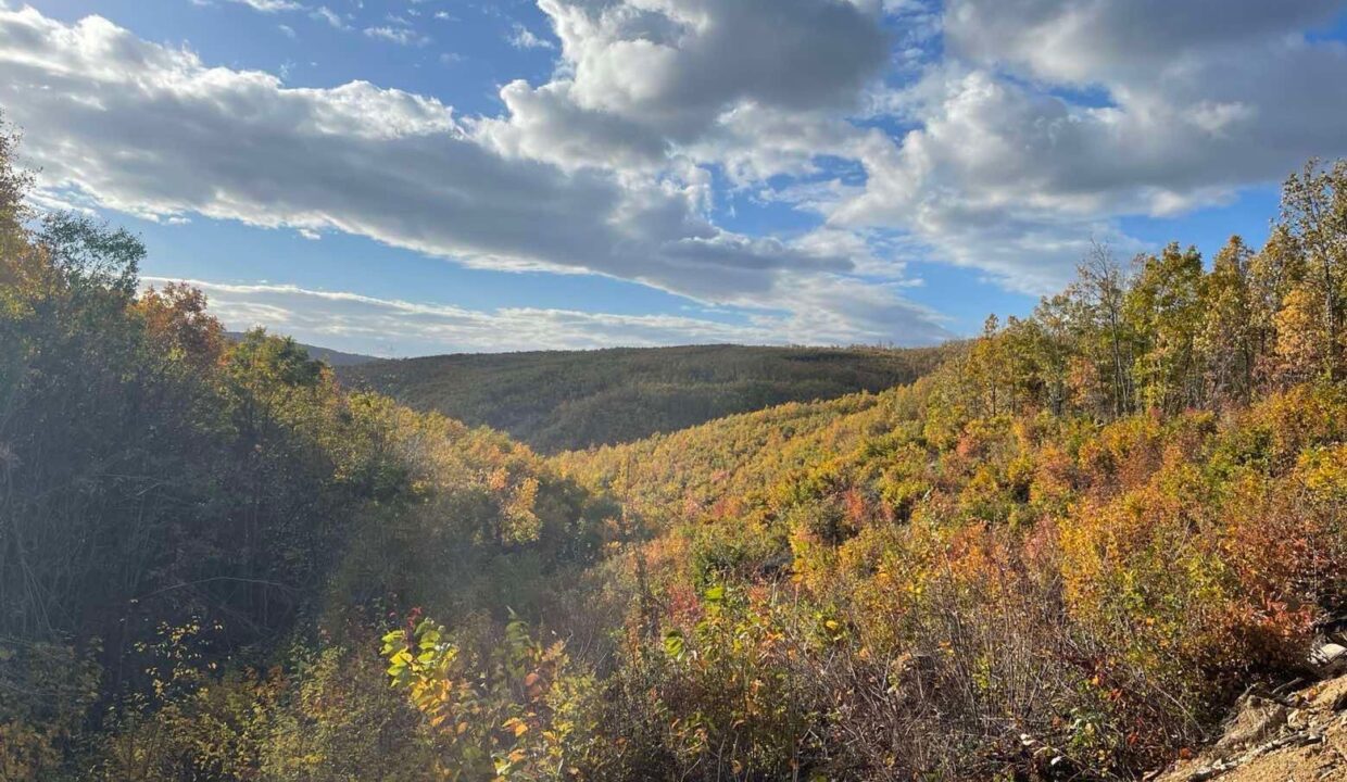 5556e79e-0162-46ad-9490-b75e2f6612ed