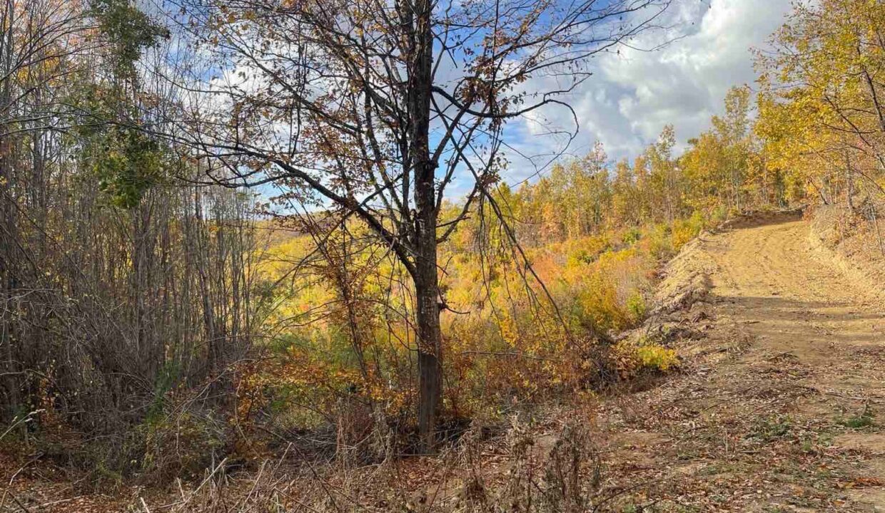 7306521a-d037-4309-9656-6f810f90a1fd