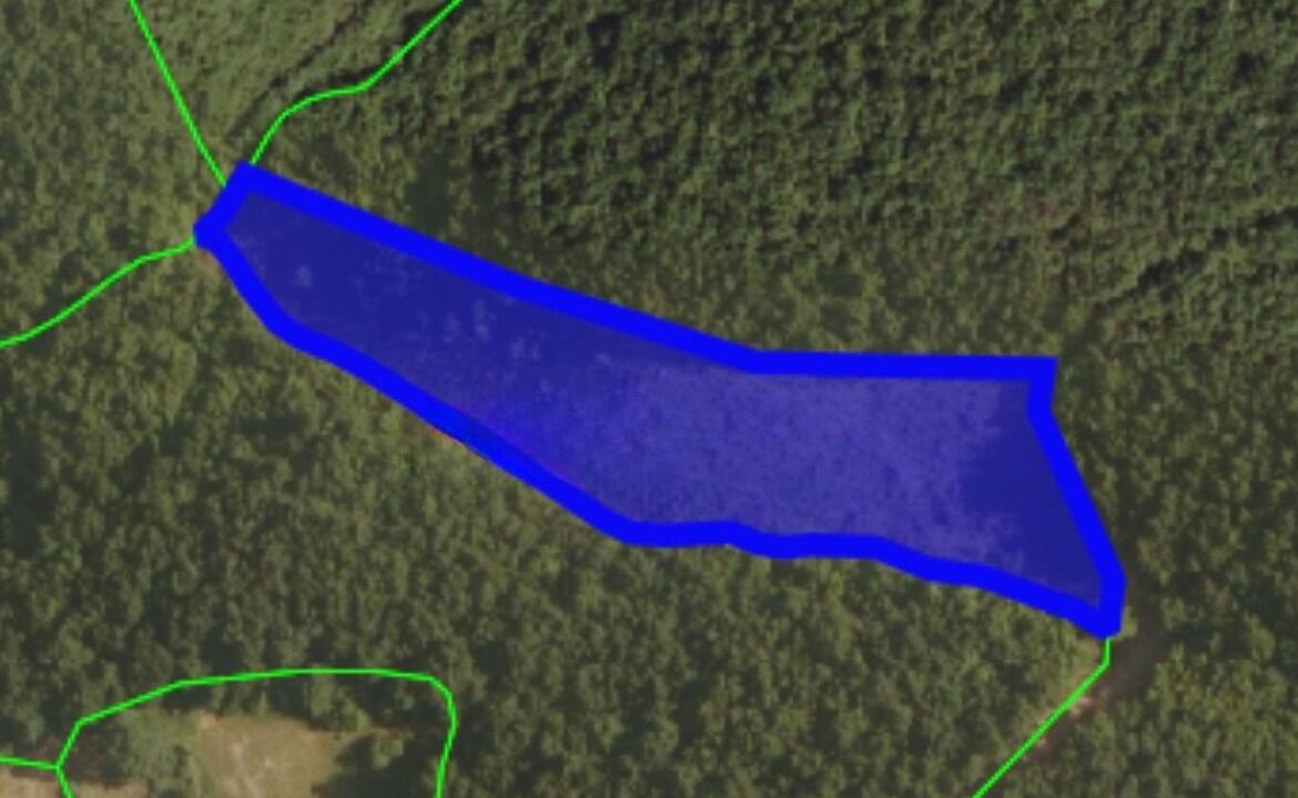 8448d55d-7872-4522-961b-b5478b45bfd2