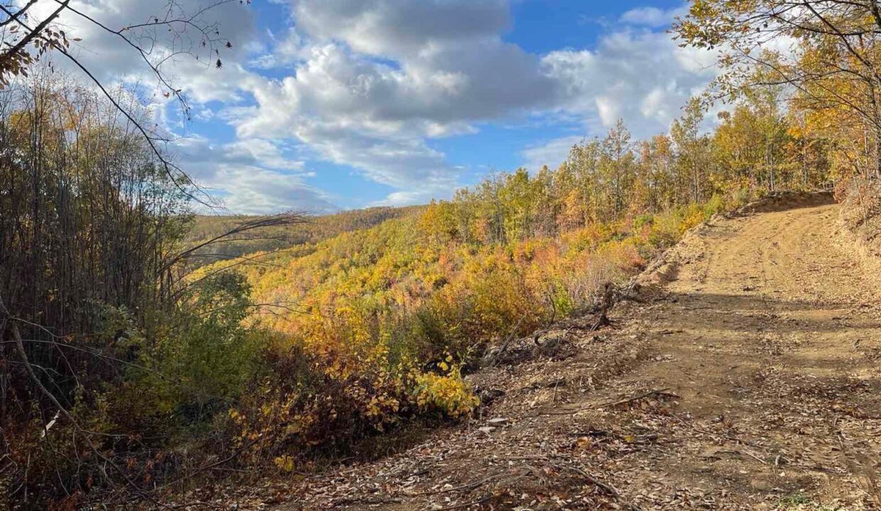 95a15923-2b5b-4645-95e2-57775e1fbdad