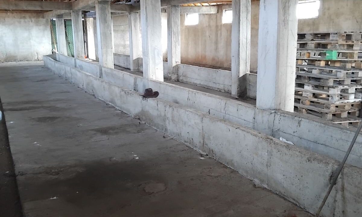 Toke ne Kraisht-Lipjan property ID 2026-242-1