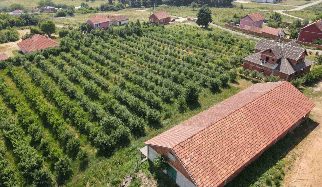 Toke ne Kraisht-Lipjan property ID 2026-242-5