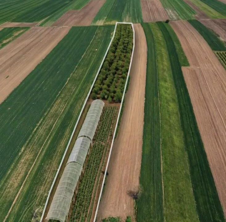 Toke ne Lepi Gracanic Property ID 2026-314-2